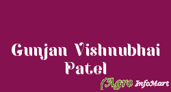 Gunjan Vishnubhai Patel anand india