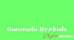 Gunmala Herbals indore india