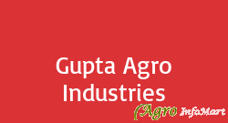 Gupta Agro Industries ludhiana india