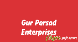 Gur Parsad Enterprises ludhiana india