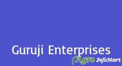 Guruji Enterprises delhi india
