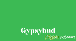Gypsybud jaipur india