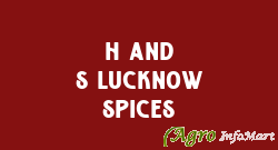 H And S Lucknow Spices