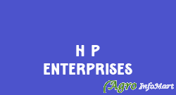 H P Enterprises delhi india