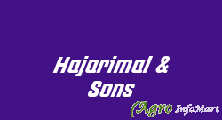 Hajarimal & Sons
