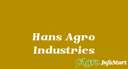 Hans Agro Industries ludhiana india