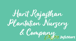 Harit Rajasthan Plantation Nursery & Company