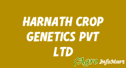 HARNATH CROP GENETICS PVT LTD hyderabad india