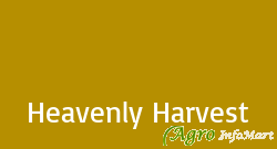 Heavenly Harvest chennai india