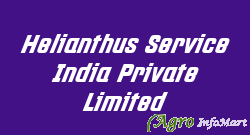 Helianthus Service India Private Limited