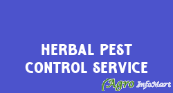 Herbal Pest Control Service noida india