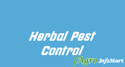 Herbal Pest Control delhi india