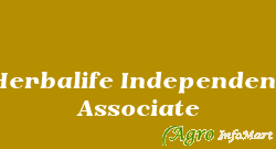 Herbalife Independent Associate