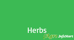 Herbs mumbai india
