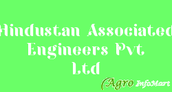 Hindustan Associated Engineers Pvt Ltd delhi india
