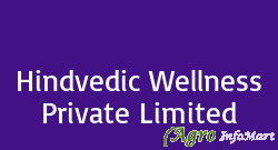 Hindvedic Wellness Private Limited delhi india