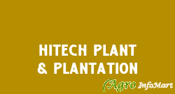 Hitech Plant & Plantation lucknow india