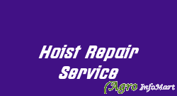 Hoist Repair Service howrah india