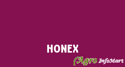 Honex ahmedabad india