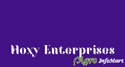 Hoxy Enterprises