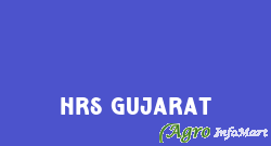HRS Gujarat