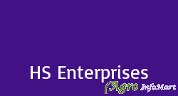 HS Enterprises