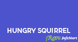 Hungry Squirrel gurugram india