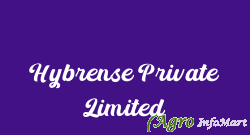 Hybrense Private Limited delhi india