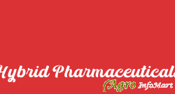 Hybrid Pharmaceuticals panchkula india