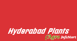 Hyderabad Plants hyderabad india