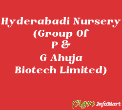 Hyderabadi Nursery (Group Of P & G Ahuja Biotech Limited) ahmedabad india