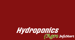 Hydroponics bangalore india