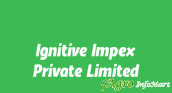 Ignitive Impex Private Limited rajkot india