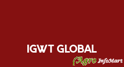 IGWT GLOBAL