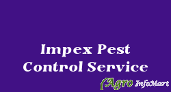 Impex Pest Control Service nashik india