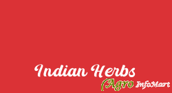 Indian Herbs