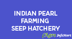 Indian Pearl Farming & Seep Hatchery
