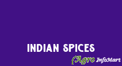 Indian Spices navi mumbai india