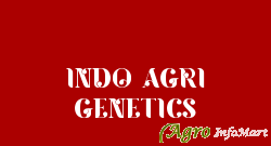 INDO AGRI GENETICS gandhinagar india