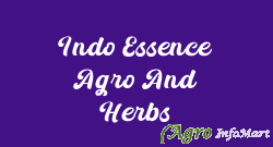 Indo Essence Agro And Herbs guna india