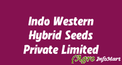 Indo Western Hybrid Seeds Private Limited jaipur india