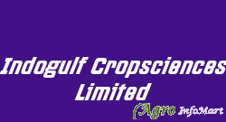 Indogulf Cropsciences Limited delhi india