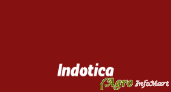 Indotica