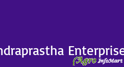 Indraprastha Enterprises