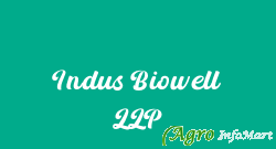 Indus Biowell LLP mumbai india