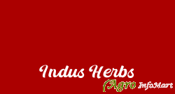 Indus Herbs bangalore india