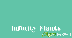 Infinity Plants