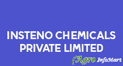 Insteno Chemicals Private Limited surat india