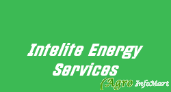 Intelite Energy Services mumbai india