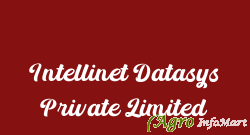 Intellinet Datasys Private Limited pune india